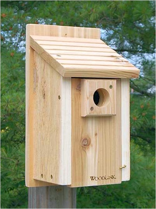 audubon bird house plans