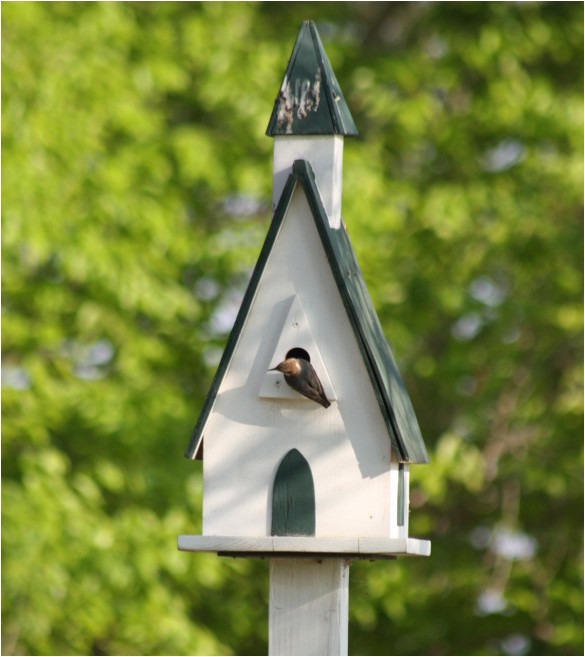 bluebird house plans audubon plans diy how to make