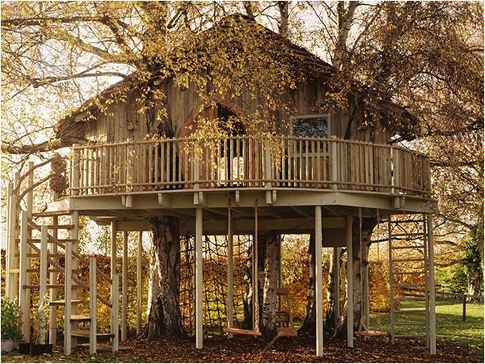 20 incredible tree houses from around the world