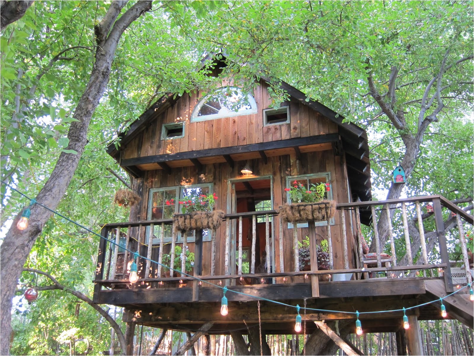 large tree houses with classy lighting design for large tree houses for sale