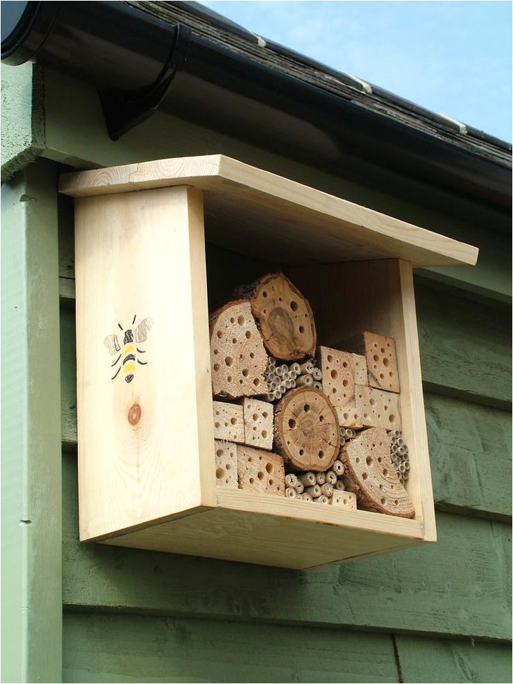bee boxes