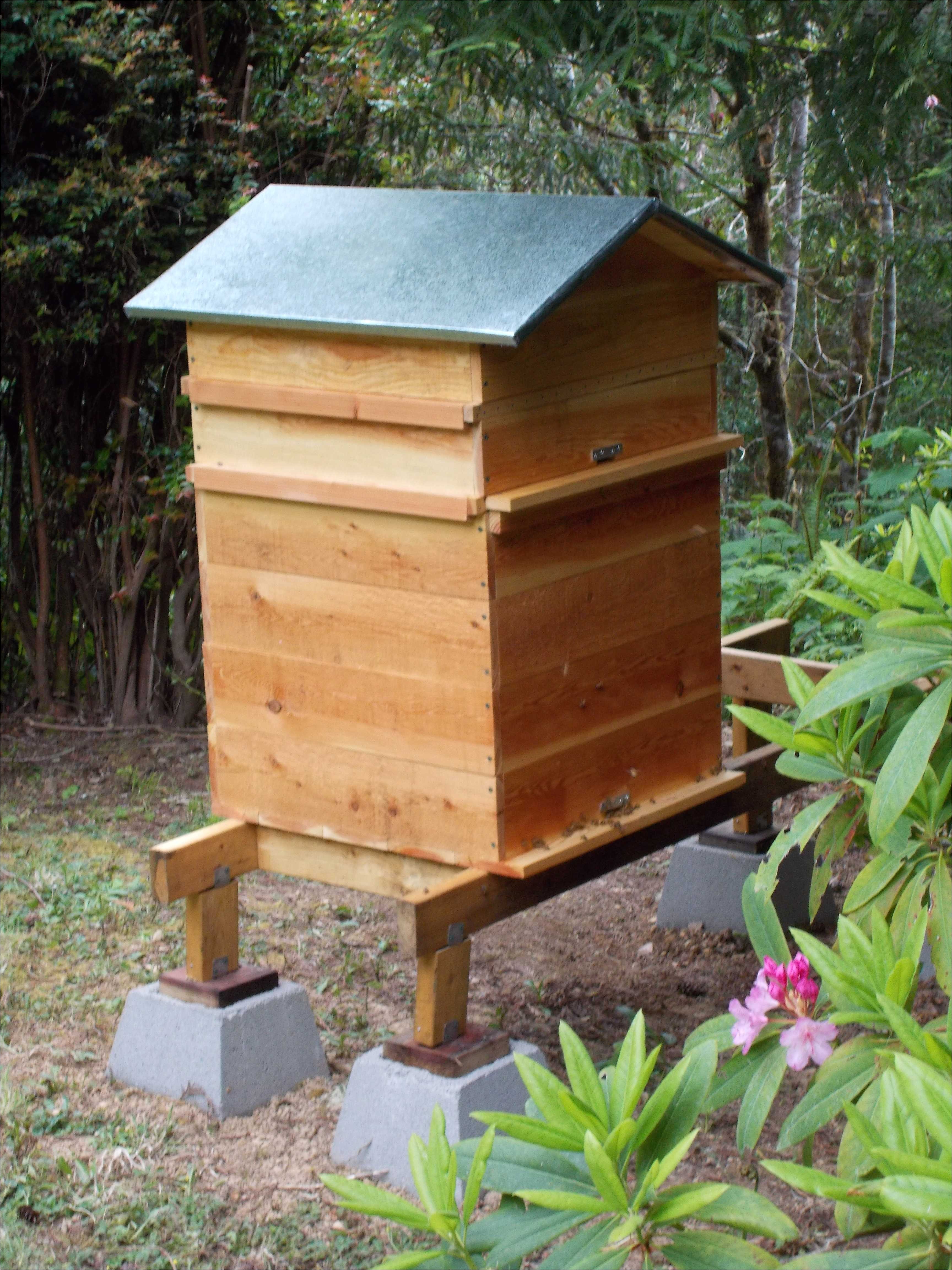 bee house plans