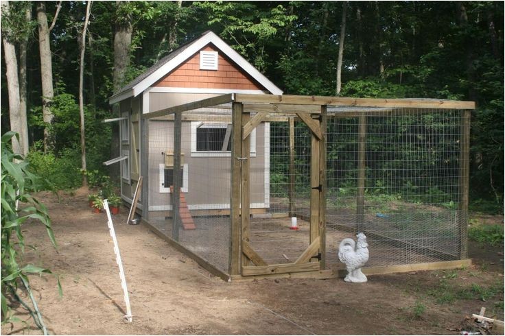 backyard chicken coop plans