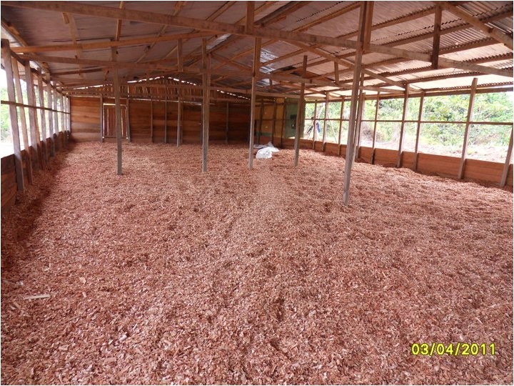 poultry house plans for 1000 chickens