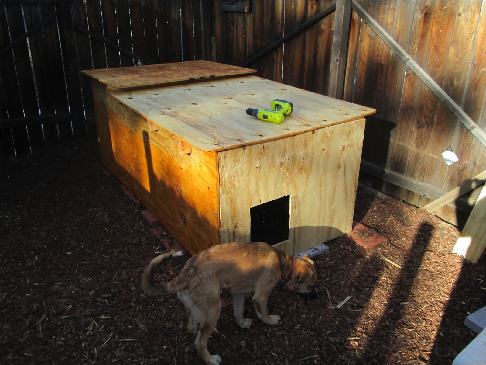 diy dog house plans