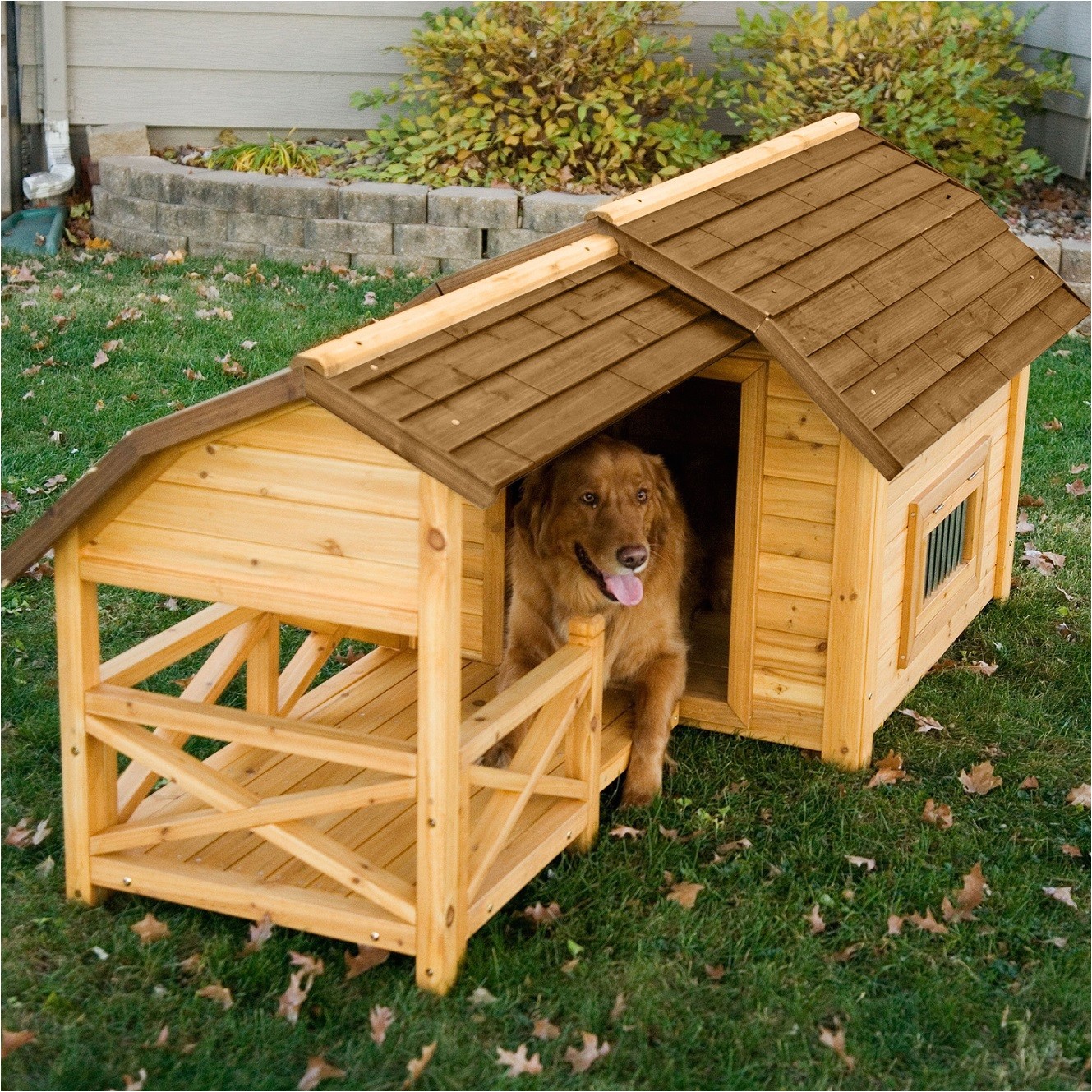 dog house designs with creative plans