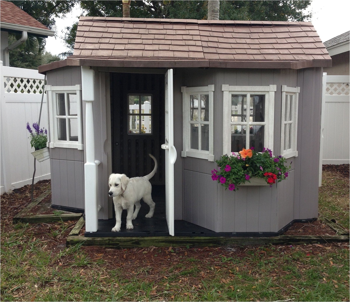 cold-weather-dog-house-plans-plougonver