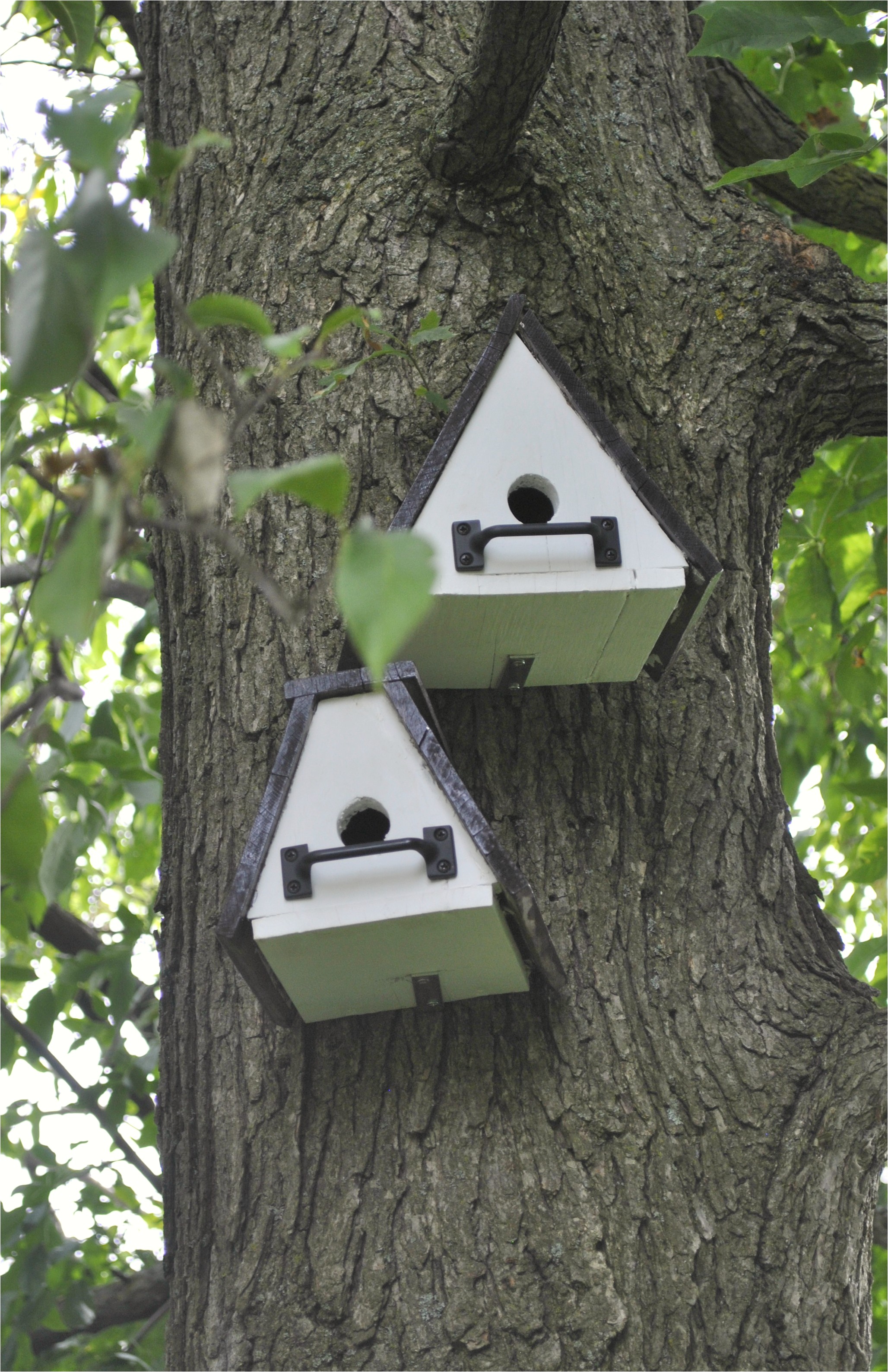 cool bird houses