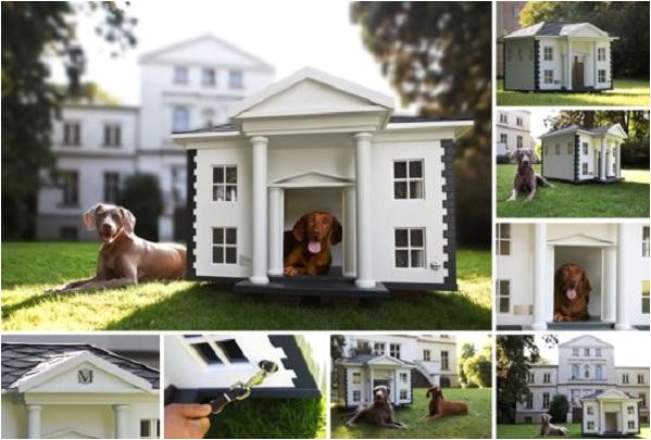 20 cool dog house designs