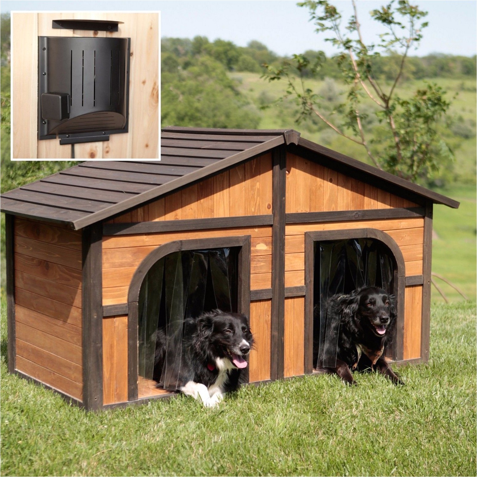 dog house designs for two dogs