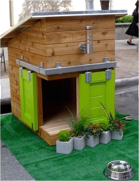 top 10 of the coolest dog house designs