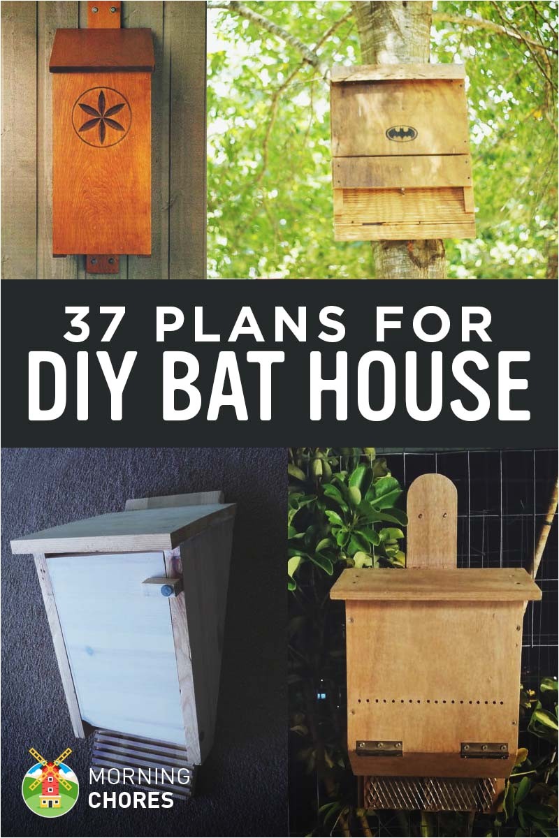 bat house plans