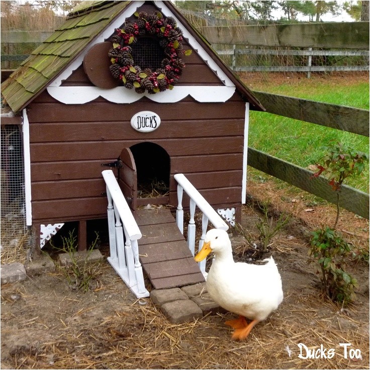 diy-duck-house-plans-plougonver