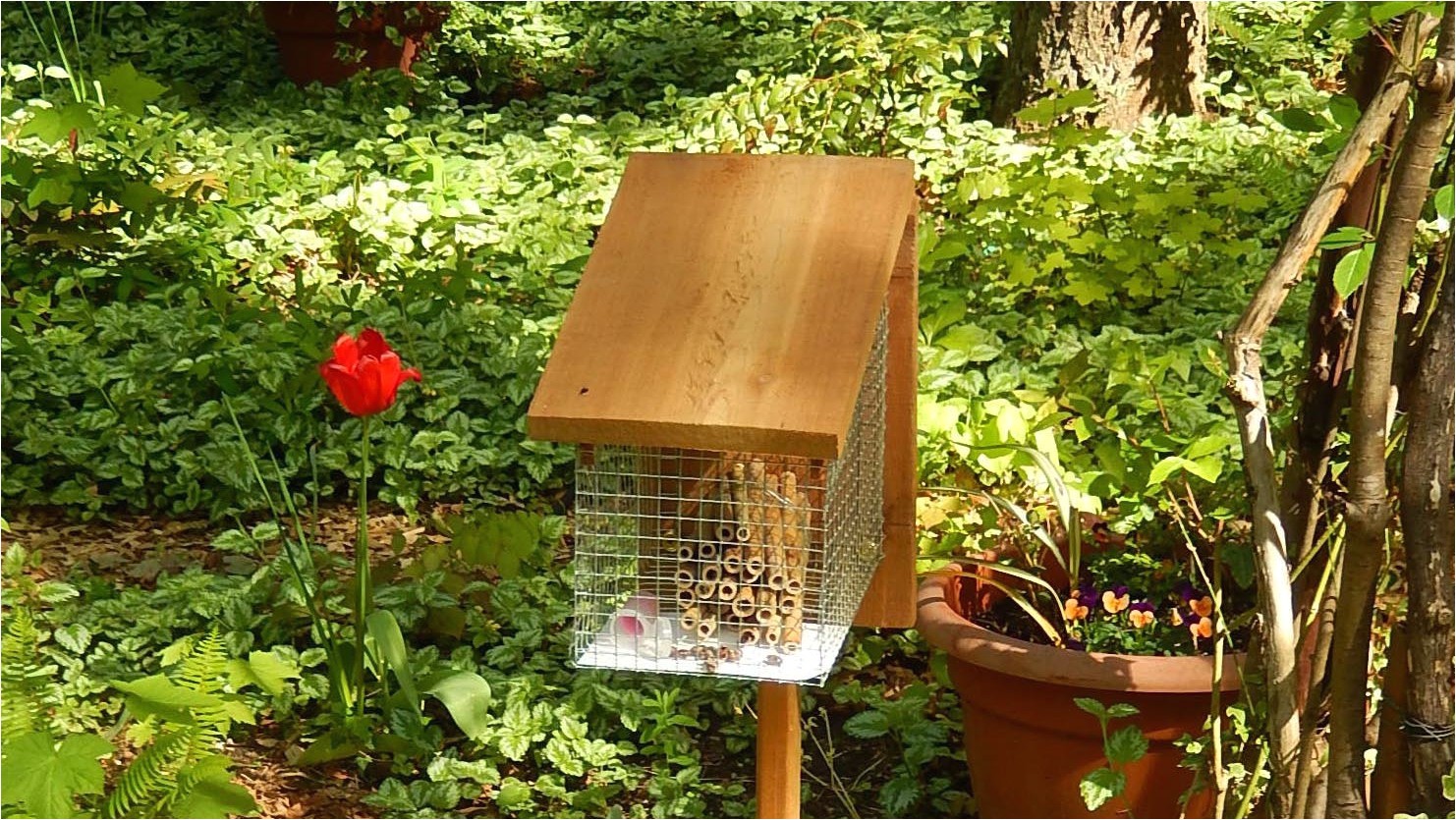 diy honey bee house