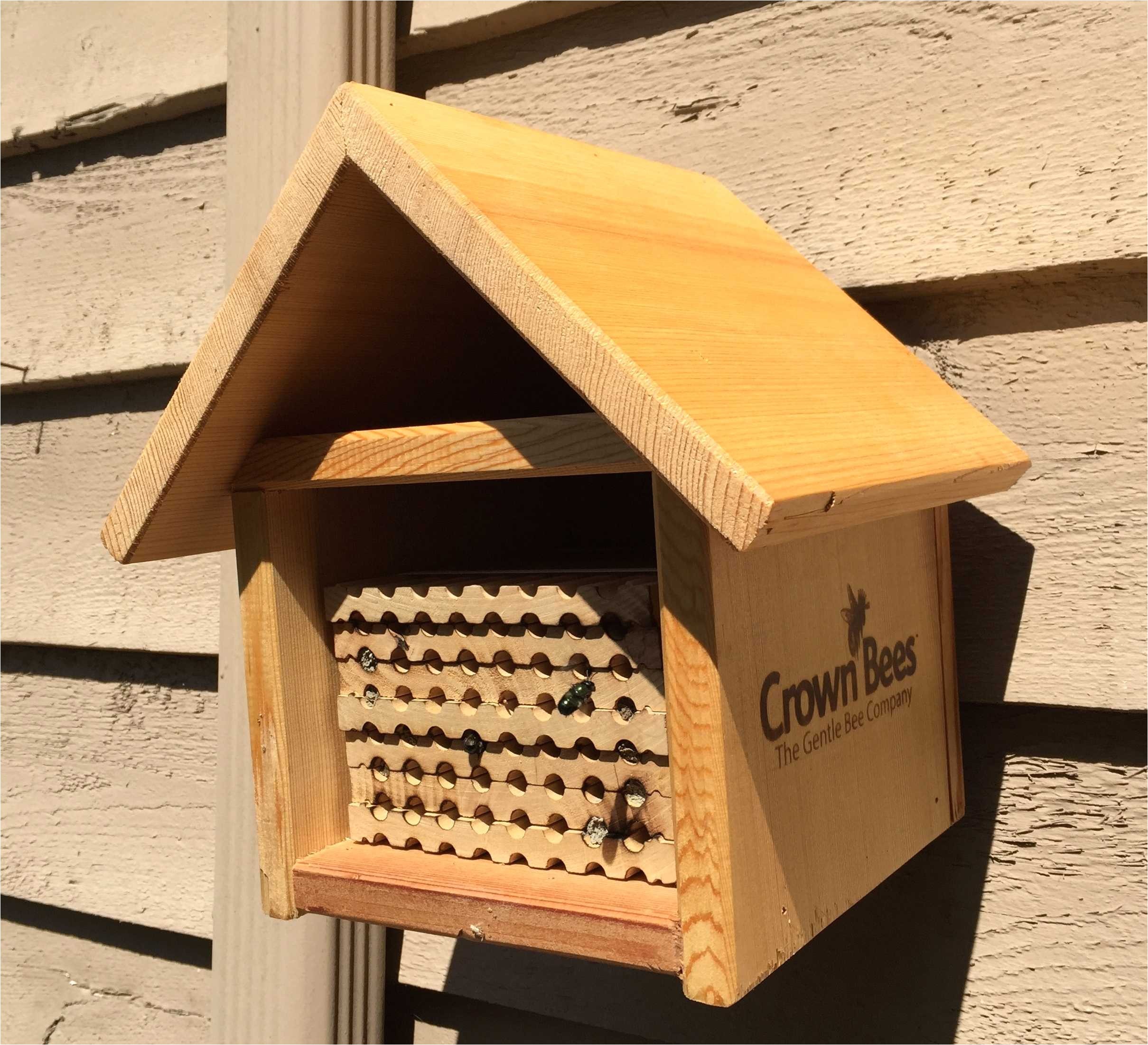 Diy Mason Bee House Plans Plougonver