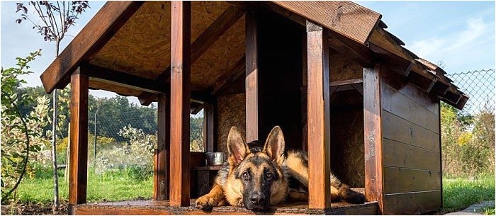 free dog house plans with porch unique 20 the best free diy dog house plans the internet care