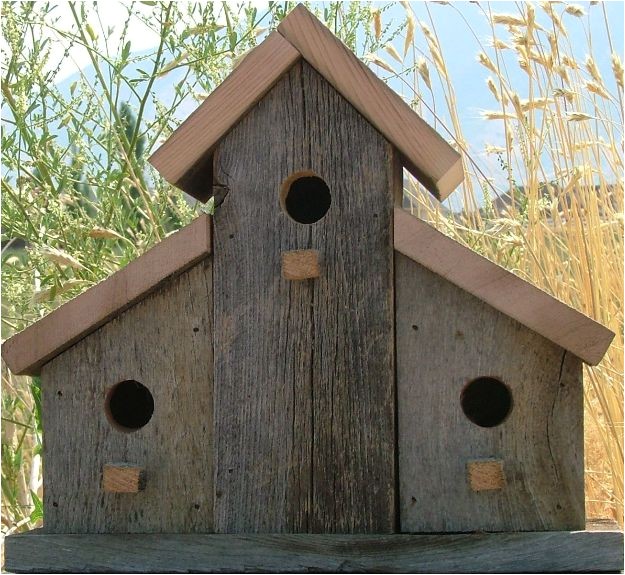 Bird House Plans stock illustrations