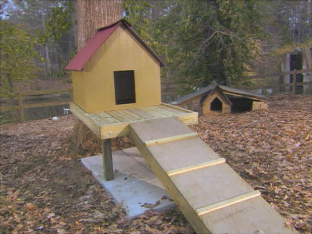 how to build a dog treehouse