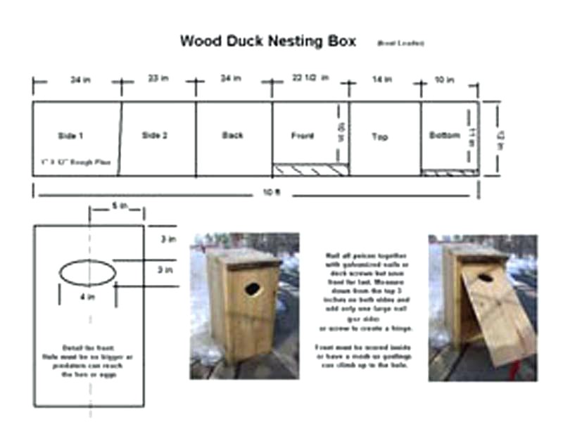 duck house plans wood duck house plans for sale