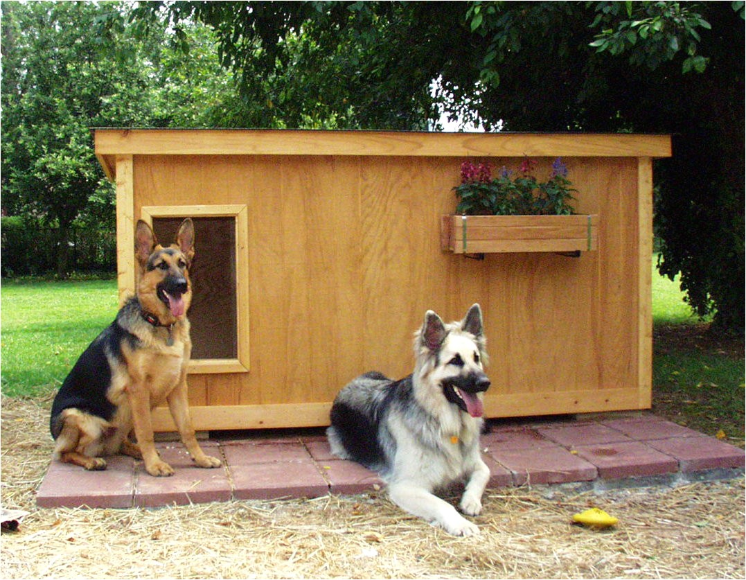 dog houses and dog house plans