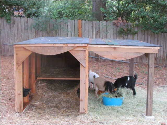 goat shed