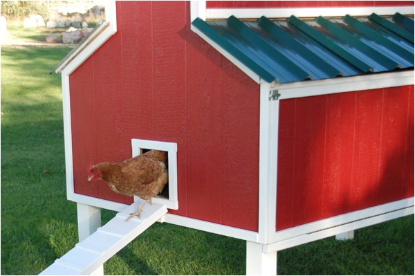 free plans for an awesome chicken coop