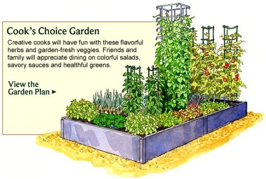 vegetable garden design examples