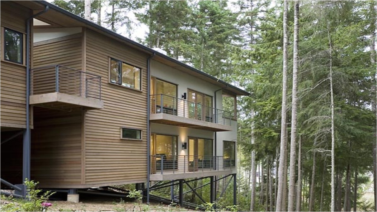 steel-columns-and-roof-edges-in-this-home-building-cottage-elevation-estate-facade-home