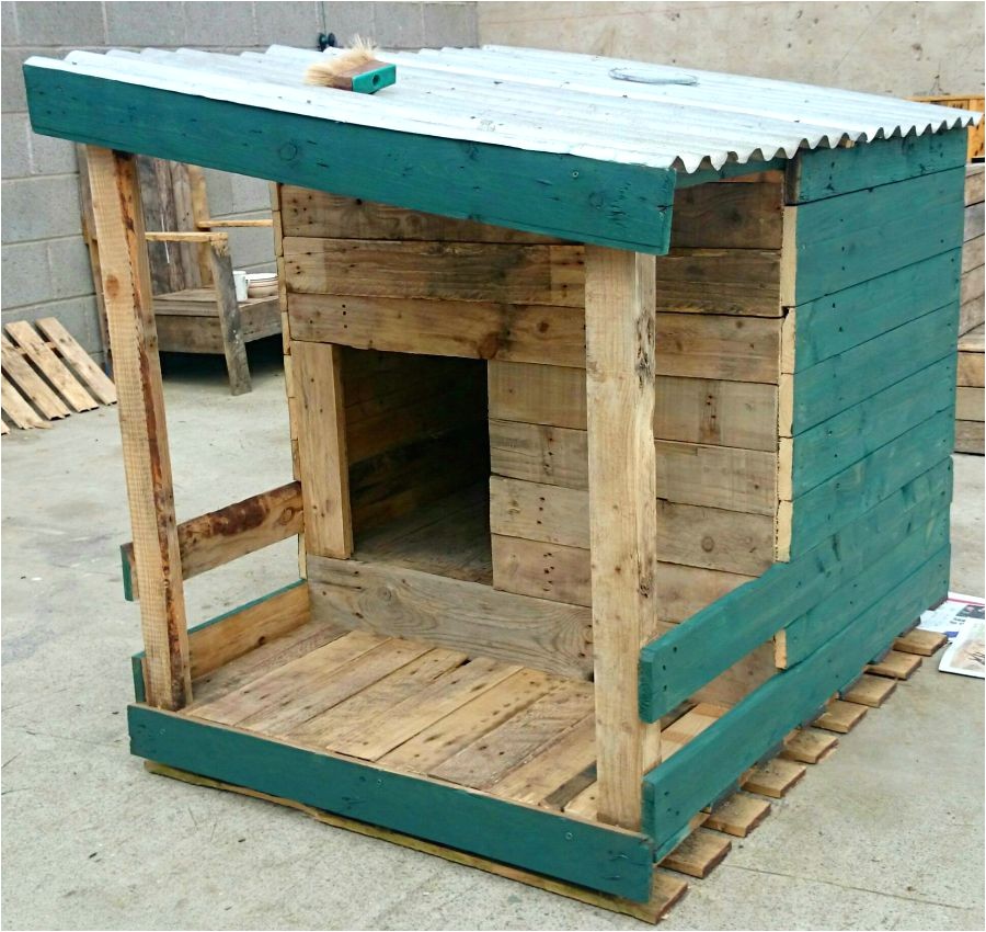 modern dog house designs