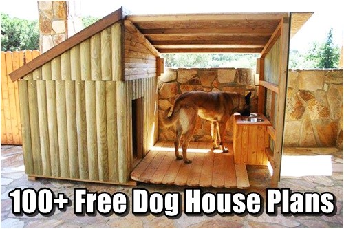 build your own dog house