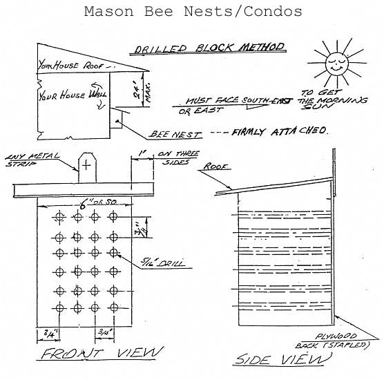 mason bee house plans 7 beehousediagram drawing 5 16