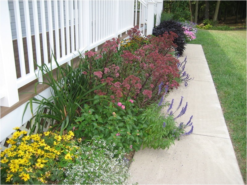 small flower bed ideas for front of house flower beds in front of house this bed has been in color