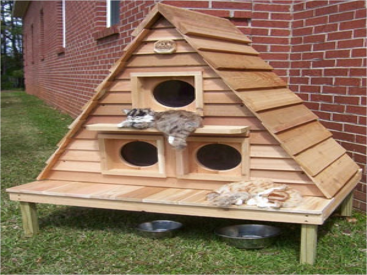 outdoor cat house design