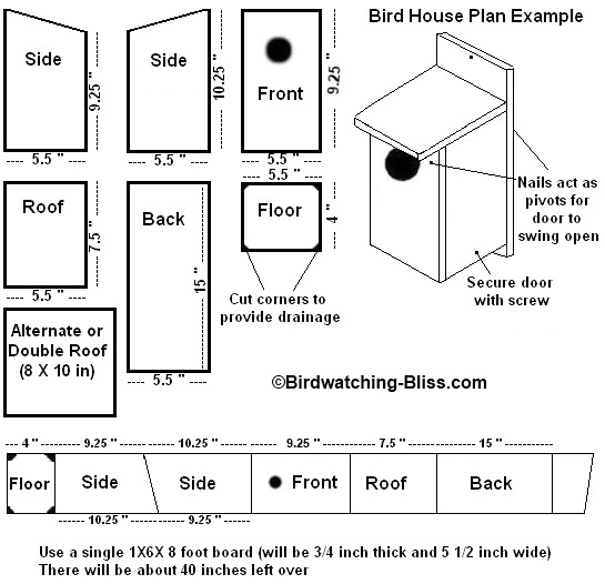 bird house plans