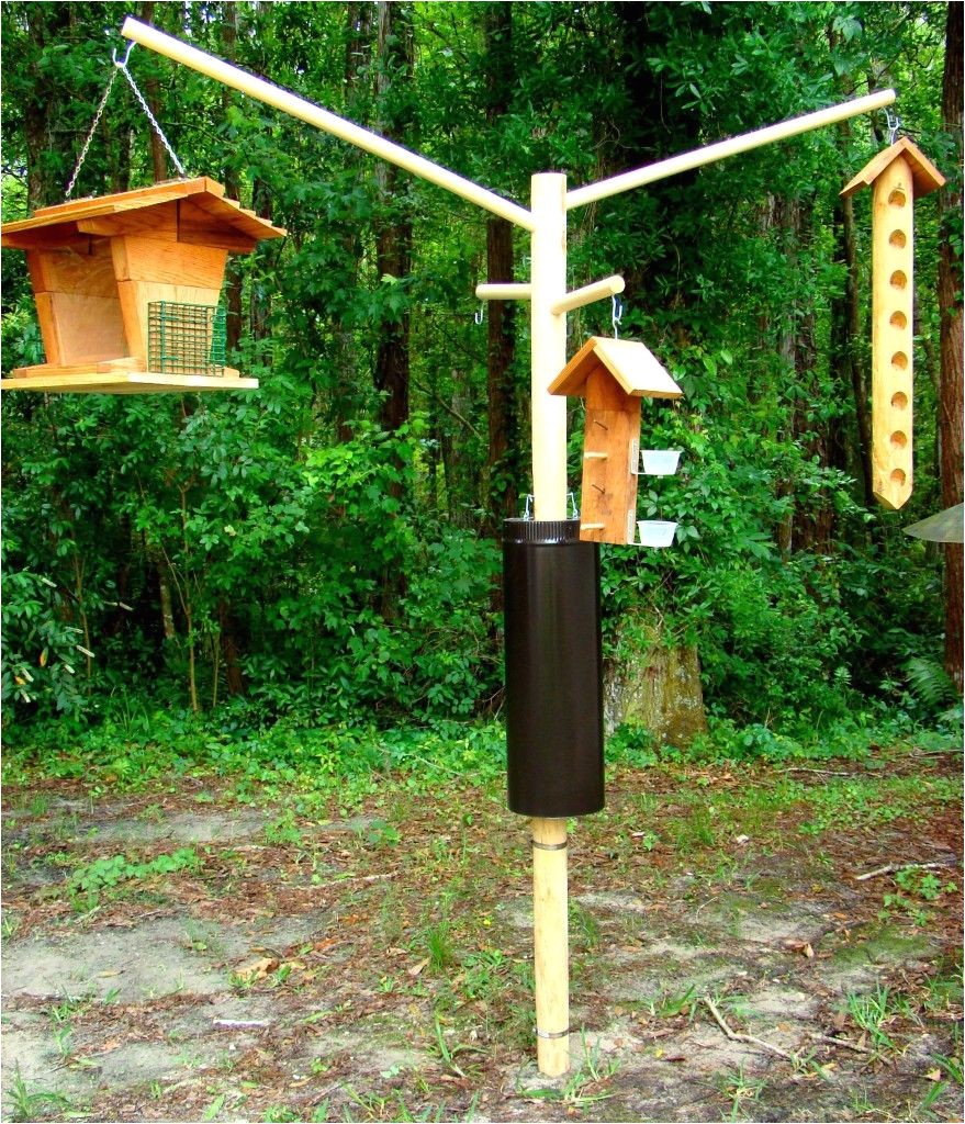 Squirrel Proof Bird House Plans Bird Feeders Squirrel Proof Bird Feeders Pinterest