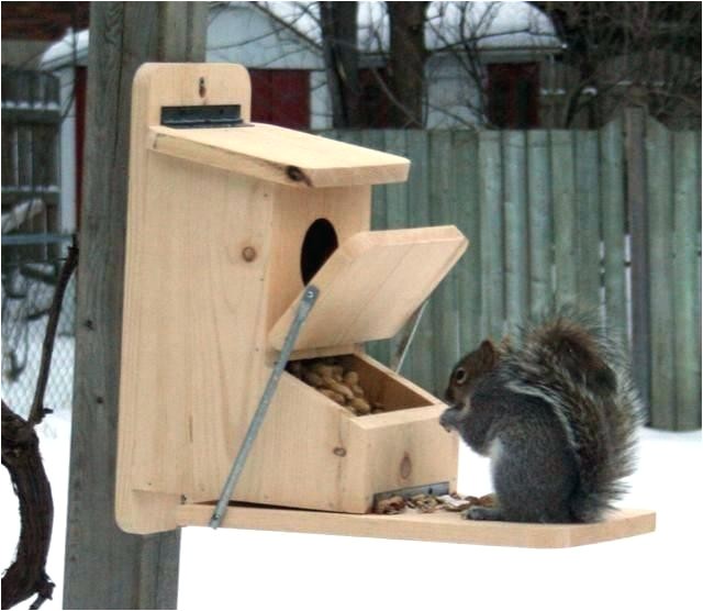 home made squirrel feeders