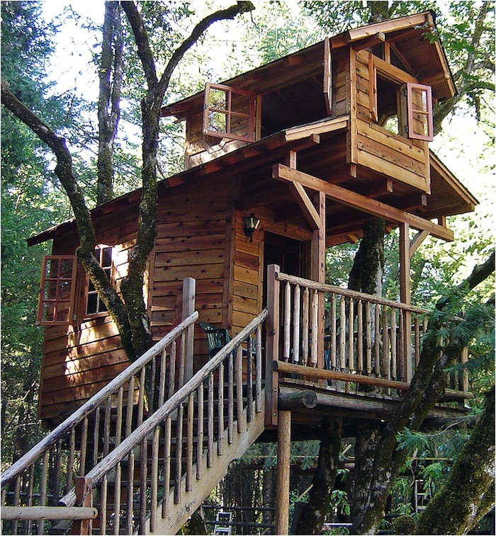 amazing tree house designs