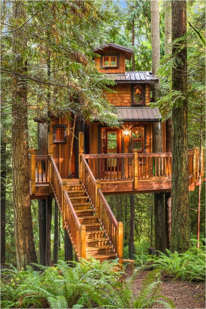 tree house plus normal one for sale in 5810349