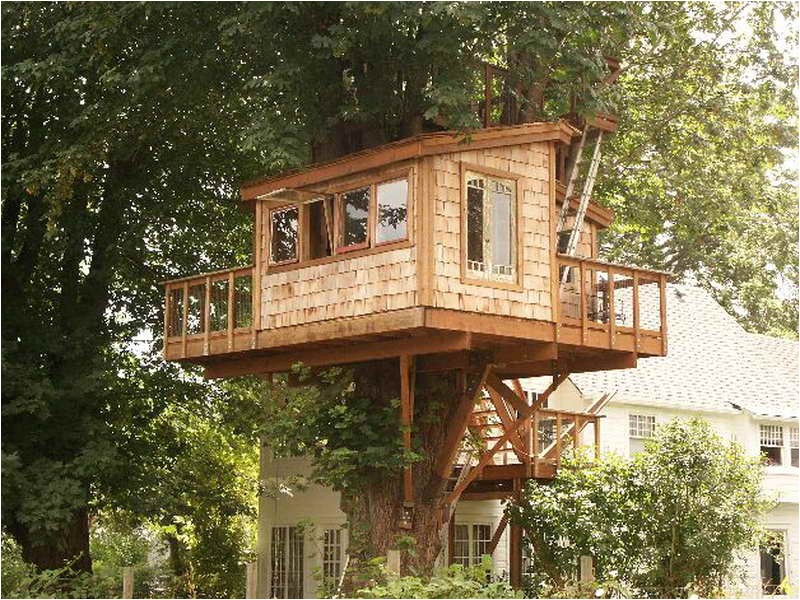 fantastic treehouse plans