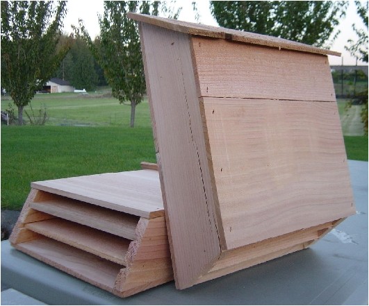 wooden bat house plans