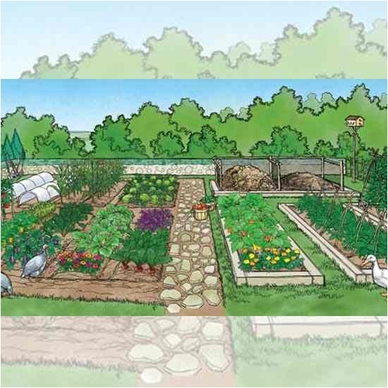 better homes and gardens plan a garden