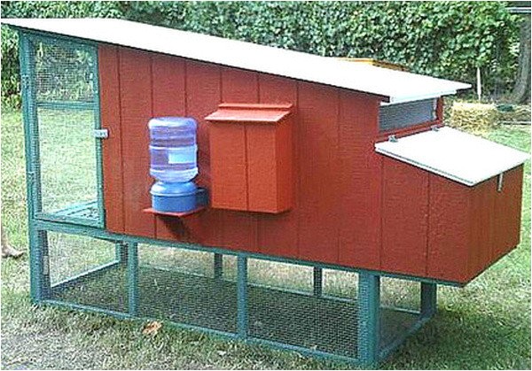 chicken house plans for 50 chickens