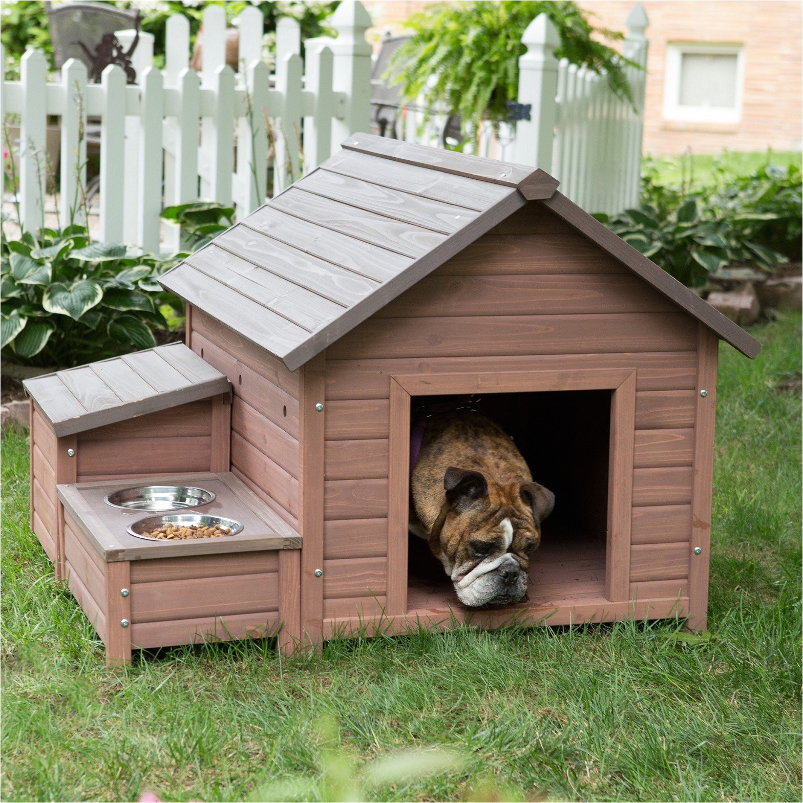 diy dog house for beginner ideas