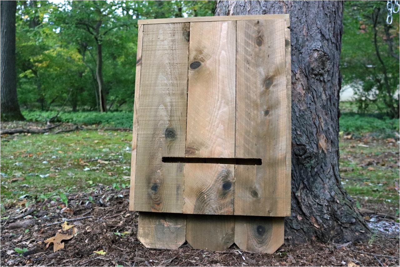 how to build a bat house
