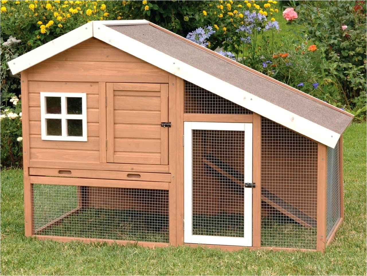 chicken house designs