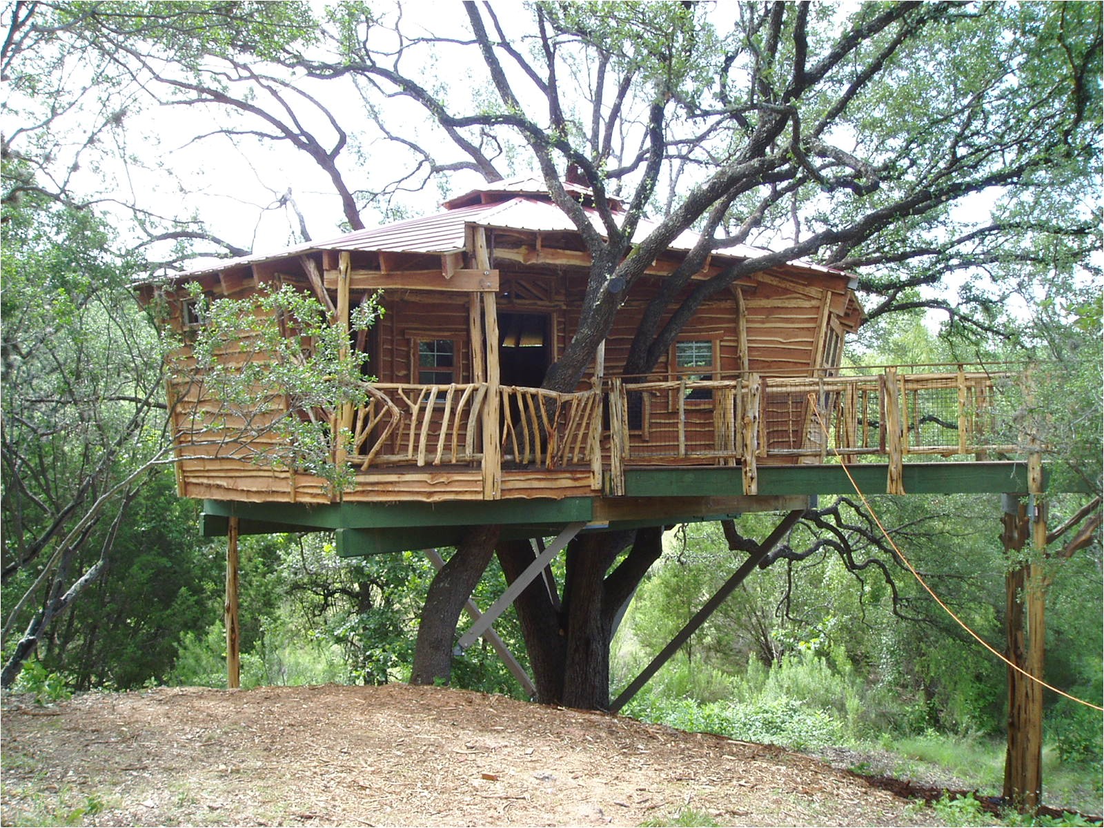 amazing tree house designs