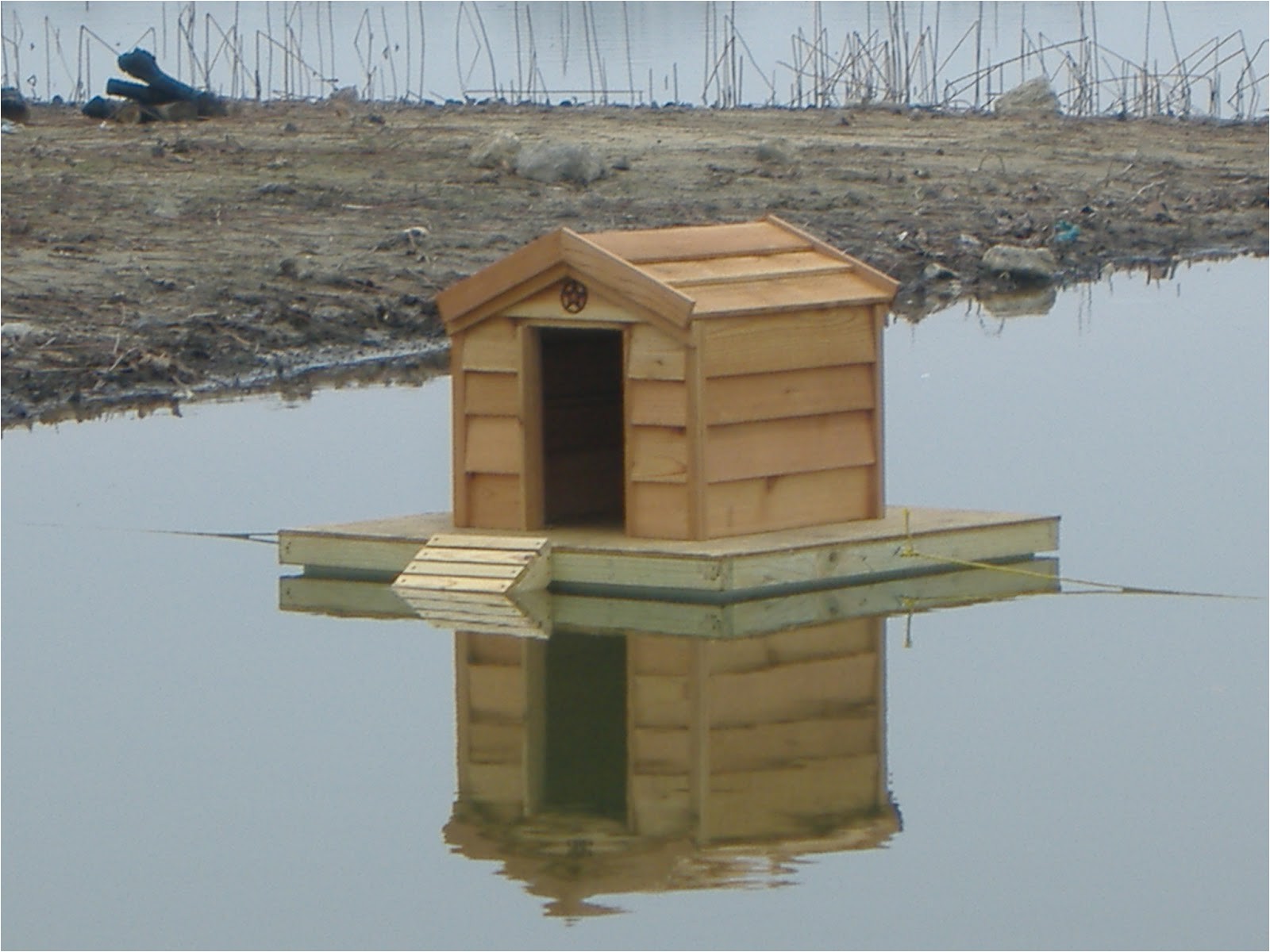 custom floating duck houses