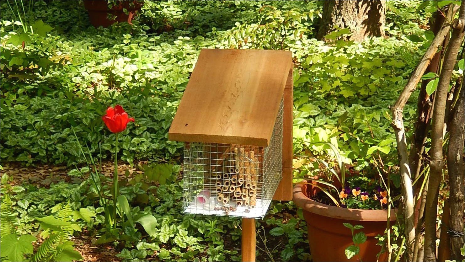 build your own mason bee house