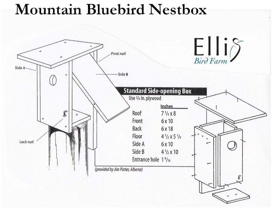 nestboxes