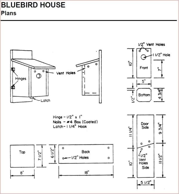 Mountain Bluebird House Plans Plougonver